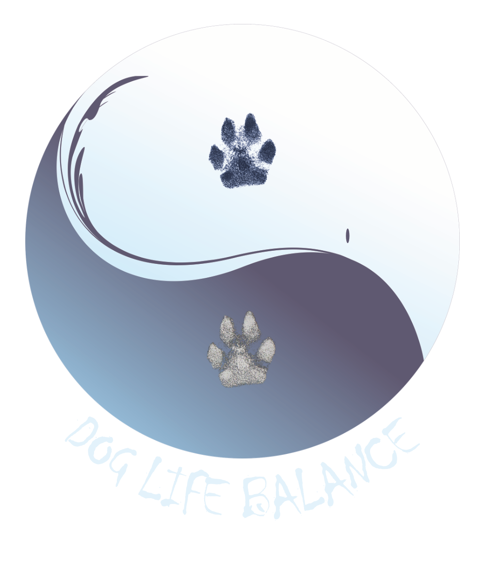 Bio Hoodie für Kinder mit Hundepfote und Dog Life Balance Yin Yang Design in Blau und Weiß