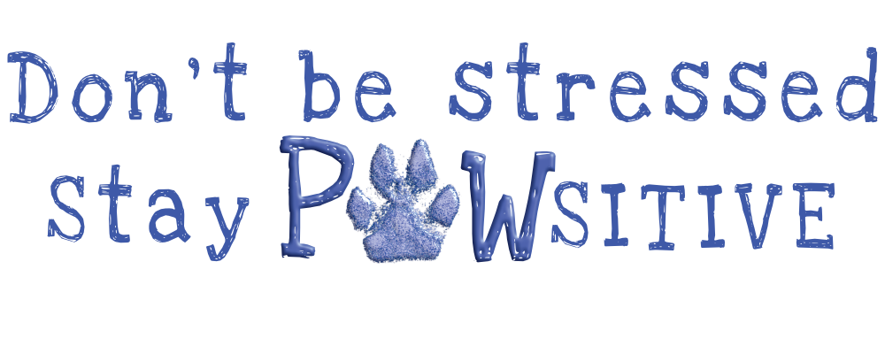Sweatshirt mit Hundepfotenprint und positivem Stay Pawsitive Aufdruck von Milkis Way