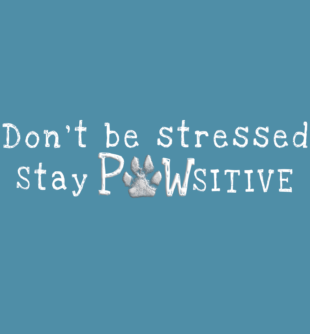 Vintage Unisex Shirt für Hundeliebhaber mit blauem Hintergrund und Motiv Don’t be stressed stay pawsitive